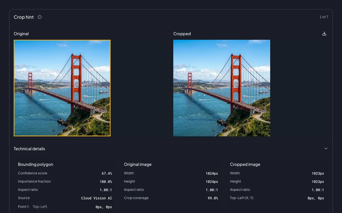 Crop hint detection preview
